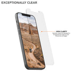 iPhone 12 Pro Max - 9H Tempered Glass (Pack of 10)