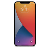 iPhone XR/11/12/12Pro - 9H Privacy T/G (Pack of 10)