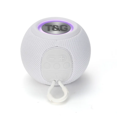 T&G Portable Wireless Speaker (TG-337) - White